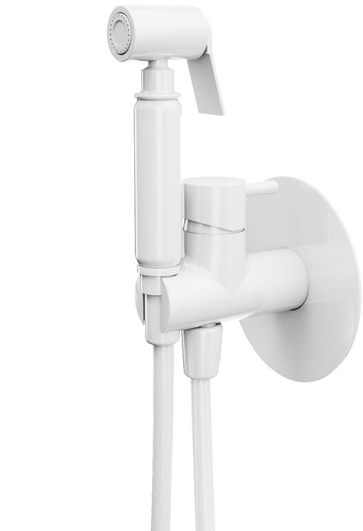 Recessed bidet faucet